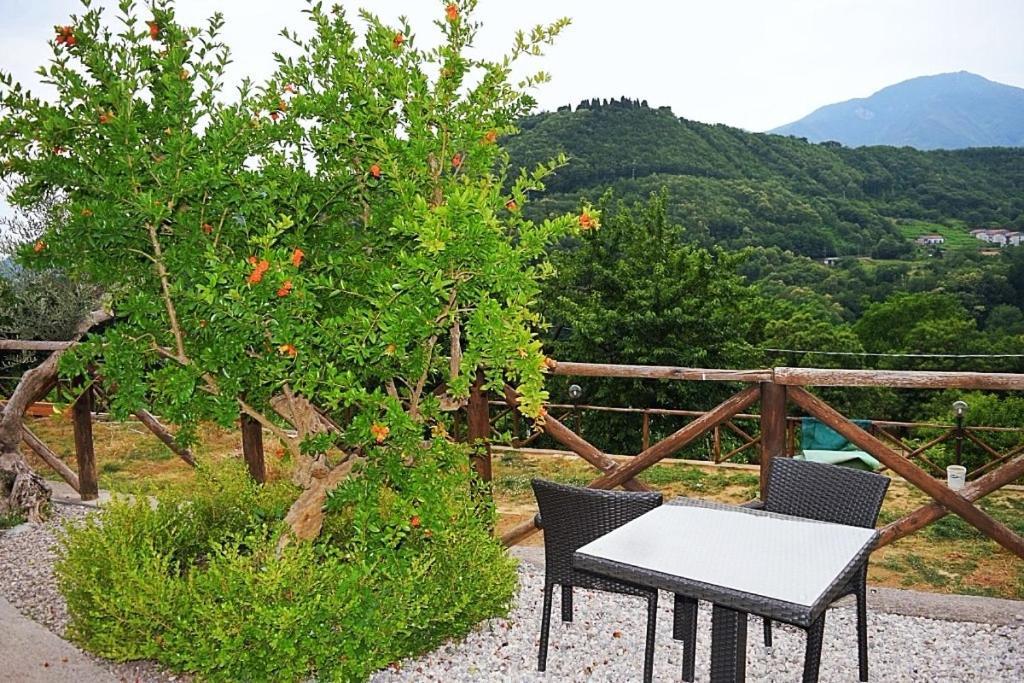 B&B Fior Tramonti Dış mekan fotoğraf