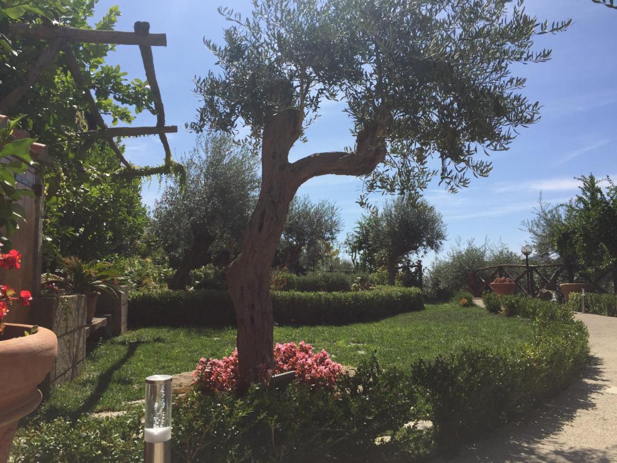 B&B Fior Tramonti Dış mekan fotoğraf