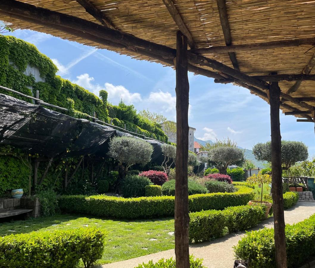 B&B Fior Tramonti Dış mekan fotoğraf